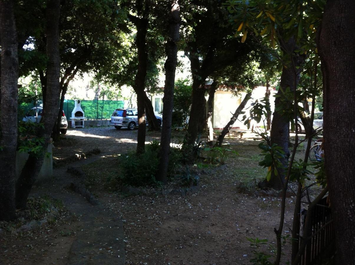 Apartamento Giardino Sud - A Pochi Passi Dal Mare San Vincenzo Exterior foto